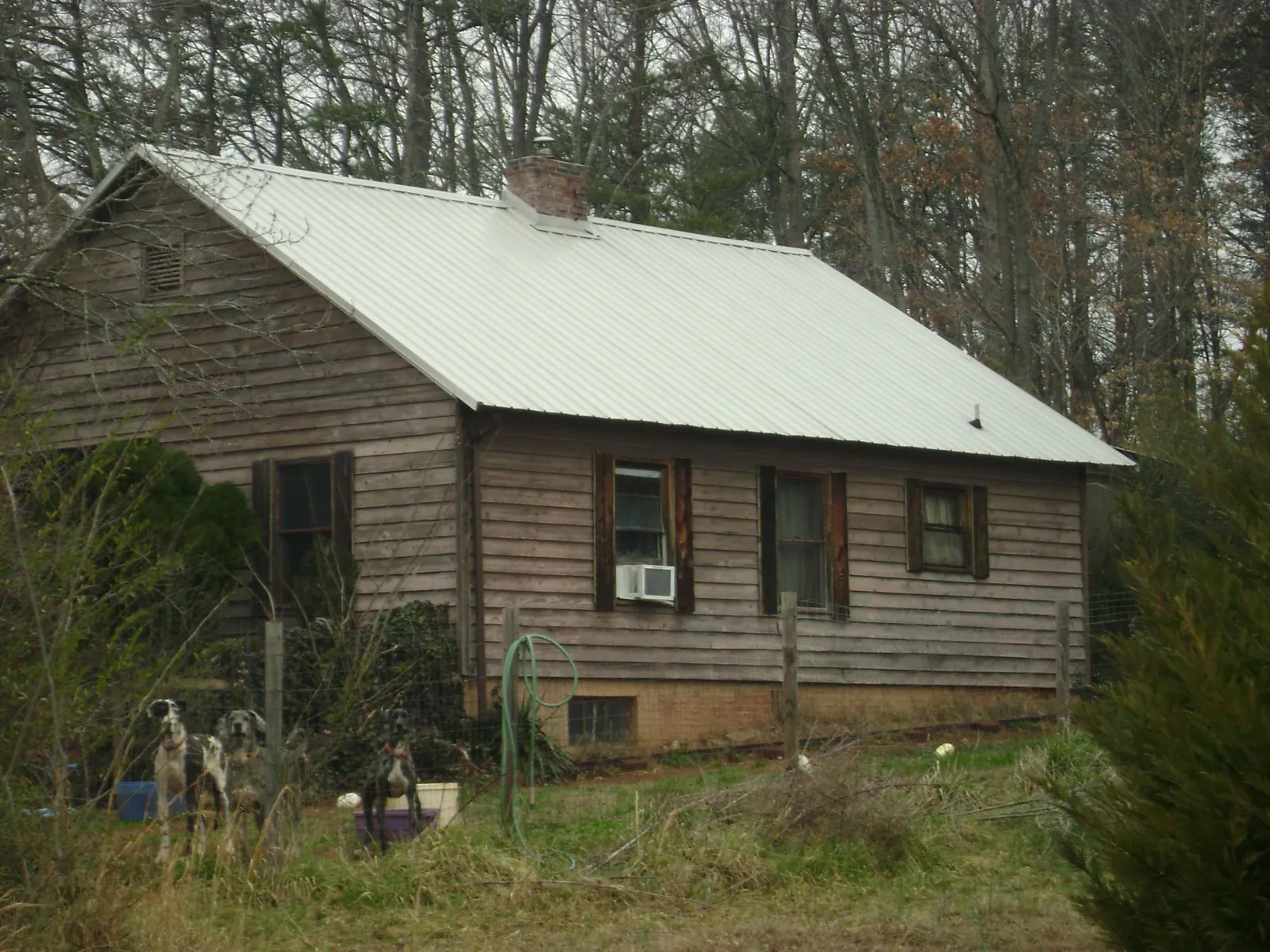 White metal roof on an old wood sided farmhouse, from a Asphalt Shingle Roof Repair job in Canandaigua